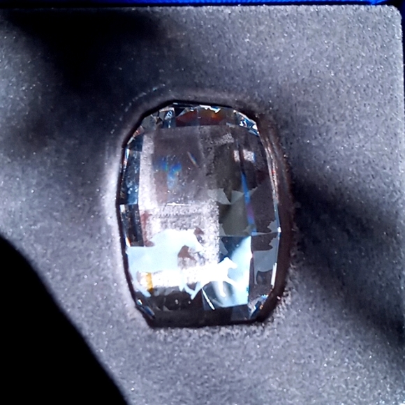 SWAROVSKI SCS MEMBERSHIP CRYSTAL - Picture 7 of 8